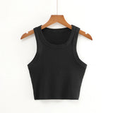 Znbbw New Round Collar Solid Color Sports Short Blouse With A Slimmed Edge, A Small Vest.