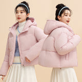 Bean Wind Hooded Down Cotton Clothes Female 2024 Autumn And Winter New Padded Clothes Small Bread Clothes Korean Version Short Coat