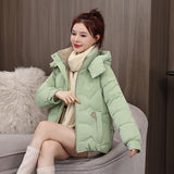 Cotton Padded Jacket Women's Padded Clothes 2024 Winter Hot Jacket With Cotton Padded Jacket Plus Plus Women's Clothing Fat Mm Short