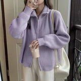 Znbbw cardigan sweater female spring and autumn lapel zipper sweater long sleeve solid women foreign outerwear cardigan female