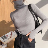 Znbbw Sweaters 2023 Autumn Winter Casual Soft Casual Soft Slim Knitted Pullove Soft Warm Jumper Y2K Long Sleeve Sweaters