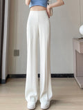 Znbbw 2023 Summer Thin Drape Ice Silk Pants Women Simplicity Straight Long Trousers Womens Office Lady Casual Suit Pants