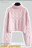Znbbw Women's Autumn Winter Pink Sweater Korean Lady Casual Knit Pullover Black Dress Two Piece Set 2023 New Elegant Outfits