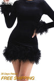 Znbbw Feather Black Women Party Dresses Spring Autumn Long Sleeve Round Neck Mini Dress 2023 Female Elegant Club Evening Vestido