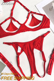 Znbbw Sensual Tassel Fetish Lingerie See Through Open Bra Bilizna Set Hot Sexy Intimate Naked Crotchless Panties Exotic Sets