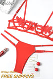 Znbbw Sexy Lingerie Women's Underwear Set See Through Brassiere Lingerie Set Sexy Lace Underwear Bra and Panty Set Wholesale