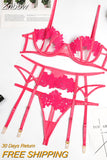 Znbbw Sensual Lingerie Underwear Erotic Hollow Out Brief Sets Push Up Underwire Bra Garters Thongs Sheer Fancy Exotic Costume 914
