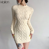 Znbbw Simple Solid Long Sleeve Turtleneck Sweater Dress Autumn New Women Warm Streetwear Slim Stretch Mini Bodycon Dresses