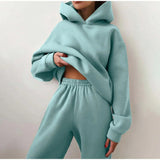 Znbbw Women's Tracksuit Casual Solid Long Sleeve Hooded Sport Suits Autumn Warm Hoodie Sweatshirts and Long Pant Fleece Two Piece Sets