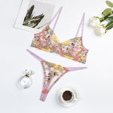 Znbbw Sexy Lingerie Fancy Lace Set Woman 2 Pieces Transparent Women's Underwear Embroidery Erotic Beautiful Bra And Panty Set