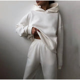 Znbbw Women's Tracksuit Casual Solid Long Sleeve Hooded Sport Suits Autumn Warm Hoodie Sweatshirts and Long Pant Fleece Two Piece Sets