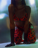 Znbbw Leopard Fine Lingerie With Stocking Sexy Porn Underwear Women Body Uncensored Video Luxury Lace Bra Thongs Intimate