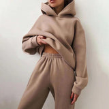 Znbbw Women Casual Tracksuits Autumn Winter Fleece Hoodies Pants 2 Piece Sets Female Solid Long Sleeve Sports Hooded Sweatshirts Suit