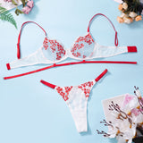 Znbbw Fancy Lingerie Floral Embroidery Underwear Fully Transparent Lace Intimate Set Woman 2 Pieces Seamless Bra Outfits