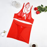 Znbbw Sheer Lingerie Transparent Underwear Sexy Bandage Erotic Naked Woman Without Censorship Fancy Bra Set With Garter