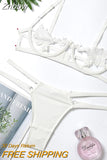 Znbbw Sexy Lingerie Women's Underwear Set See Through Brassiere Lingerie Set Sexy Lace Underwear Bra and Panty Set Wholesale
