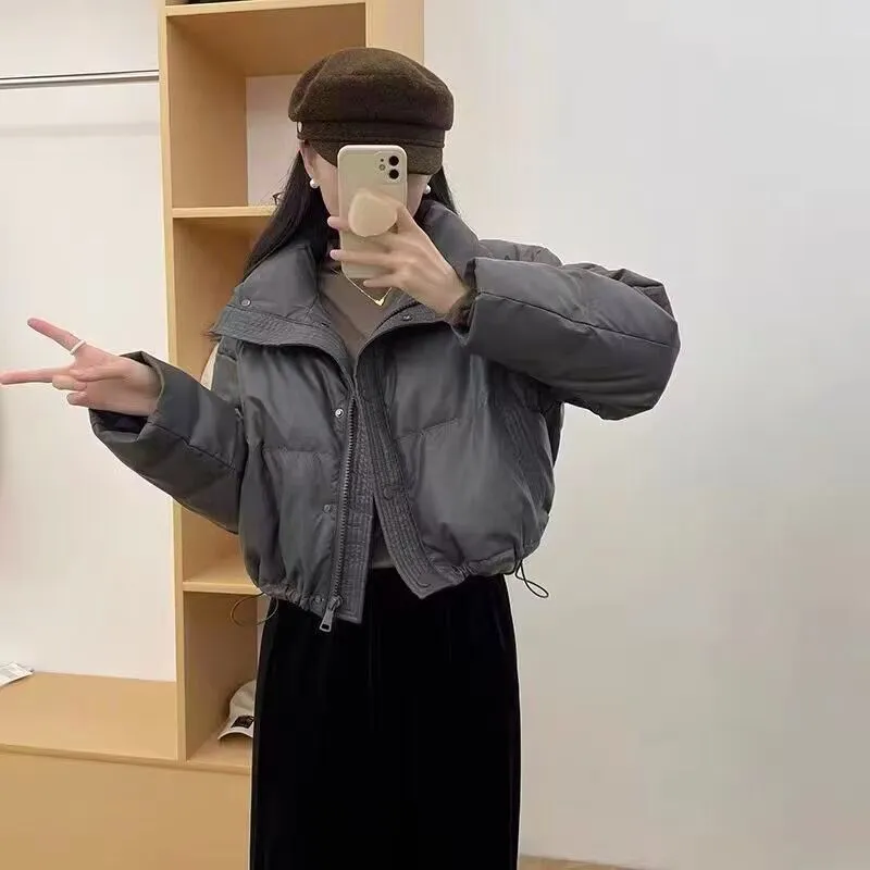 Short Standing Collar Down Cotton-Padded Jacket Lady Autumn And Winter New Advanced Sense Temperament Casual Small Warm Cotton-Padded Jacket - Image 3