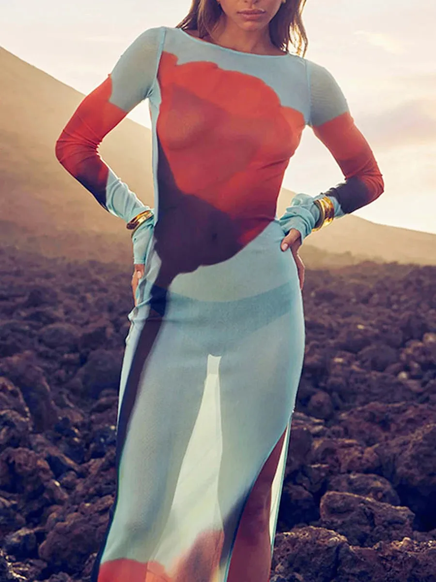 Znbbw Women???s Boydcon Long Dress Sheer Mesh Long Sleeve Boat Neck Floral Print Midi Dress Side Split Dress Ladies Summer Dress