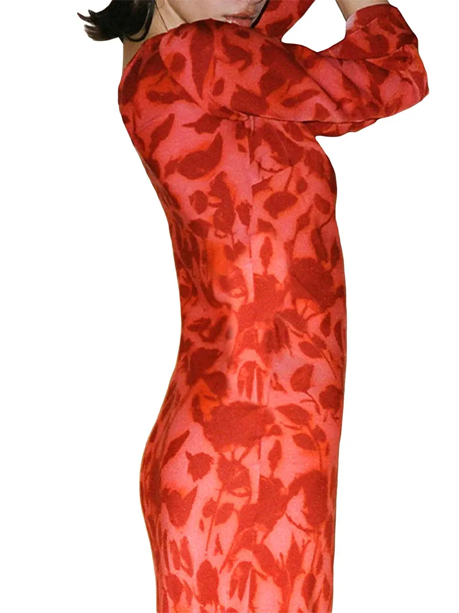 Znbbw Women Spring Autumn Maxi Dresses Zebra/Floral Print Long Flared Sleeve Round Neck Slim 2000s Aesthetic Long Dress Streetwear - Image 2