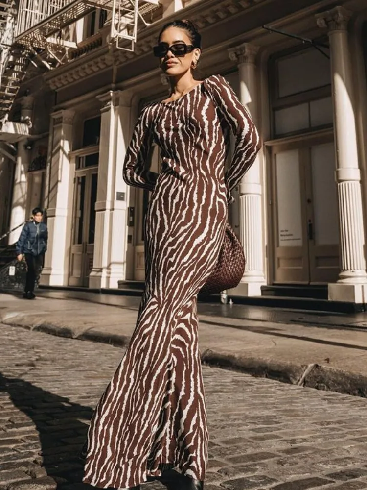 znbbw Autumn Elegant Zebra Print Maxi Dress For Women Sexy See Through Long Sleeve Bodycon Club Party Dress Spring Casual Dress - Image 3