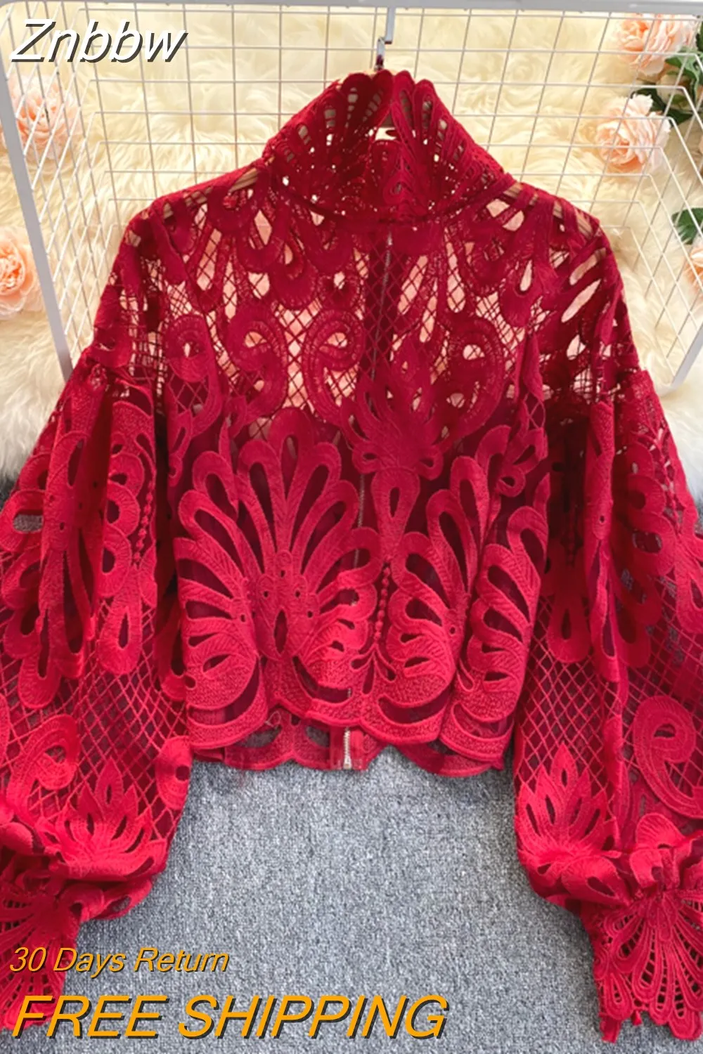 Znbbw 2023 New Fashion Blouse Female Hollow Lantern Sleeve Temperament Blusa Stand-up Collar Slim Short Lace Shirt C342 - Image 9